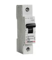 FN81CEW50 - Interruptor Tmmg Riel 1X50A 127/230-400V Curva "C"