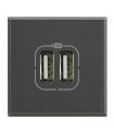 HS4285C2 - 2 Cargadores Usb 750Ma Color Gris Oscuro 2 Modulos